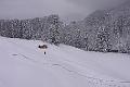 2005-06 Winterimpressionen